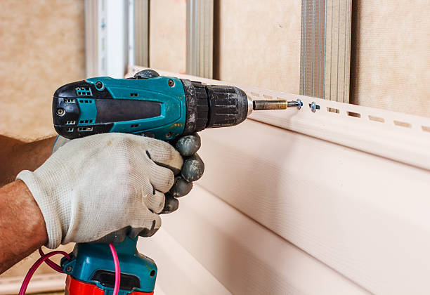 Best Steel Siding Installation  in Huachuca City, AZ